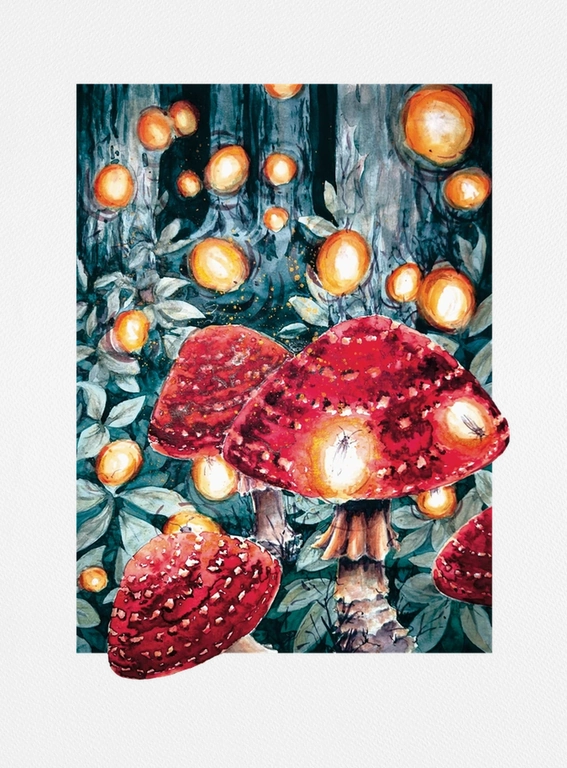Amanita Muscaria