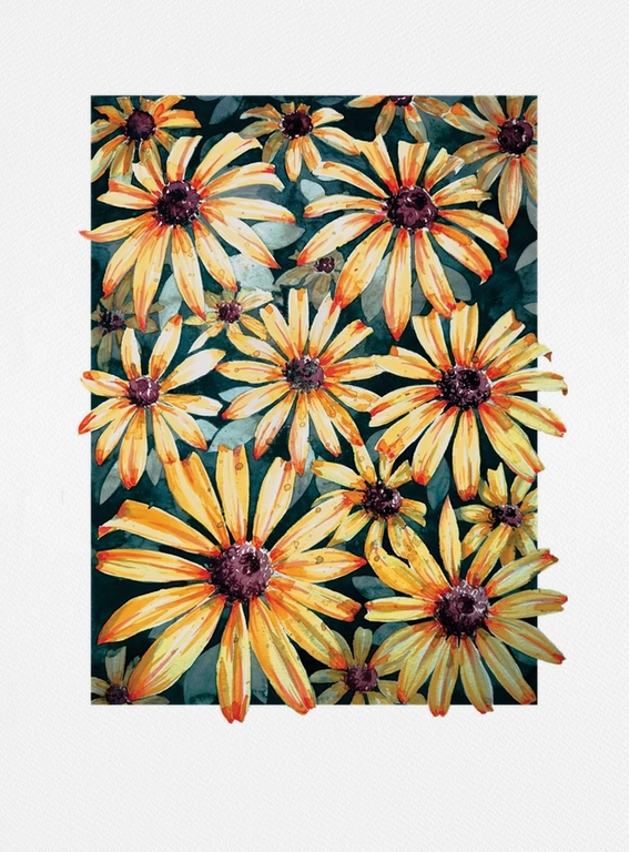 Black eyed susans