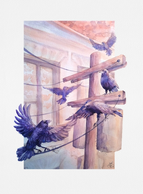 Corvids