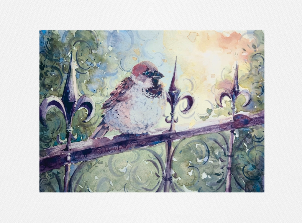 Chonky house finch