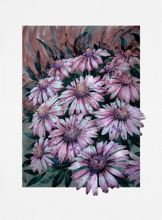 Echinacea Purpurea